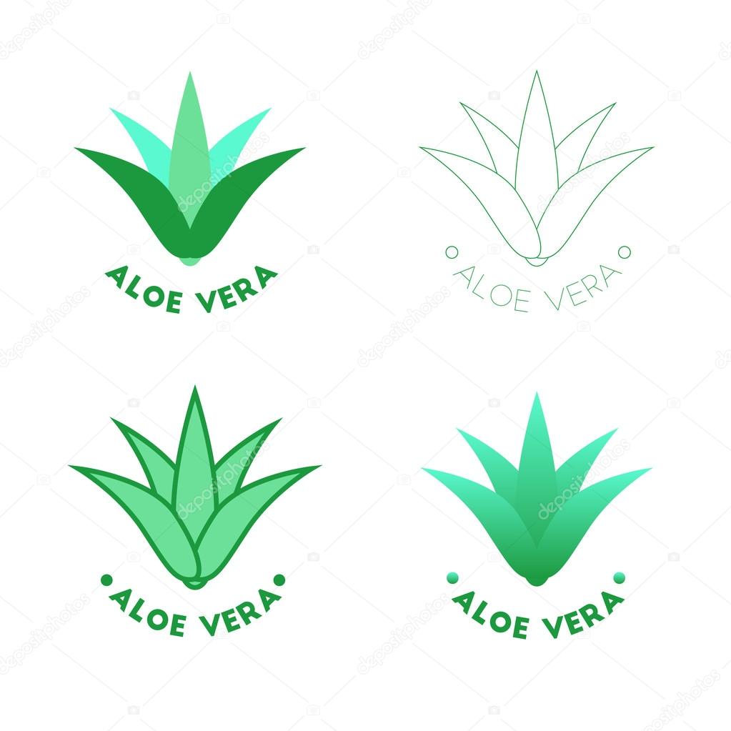 Aloe vera icons, vector beauty logotypes illustration