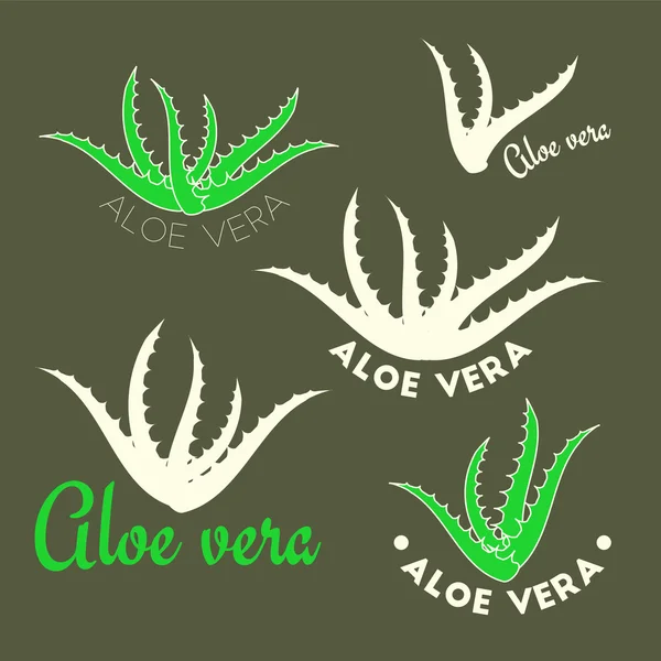 Aloe vera icons — Stock Vector