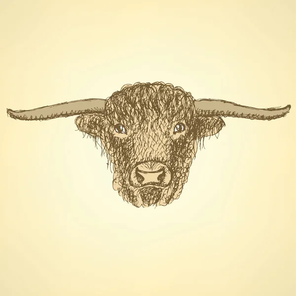 Testa di toro schizzo in stile vintage — Vettoriale Stock