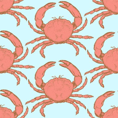 Vintage tarzı şirin Yengeç kroki