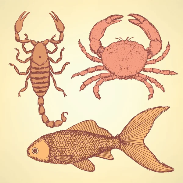 Sketch cute crab, scorpion and fish — Stock Vector