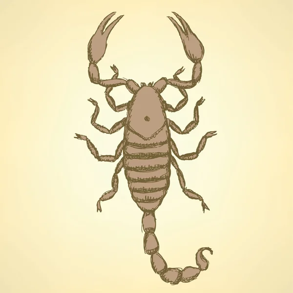 Sketch horrible scorpion in vintage style — Stock Vector