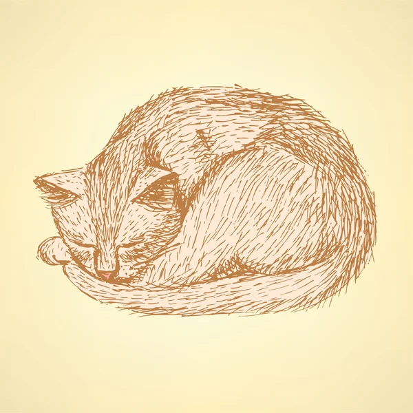 Bosquejo durmiendo gato t en estilo vintage — Vector de stock