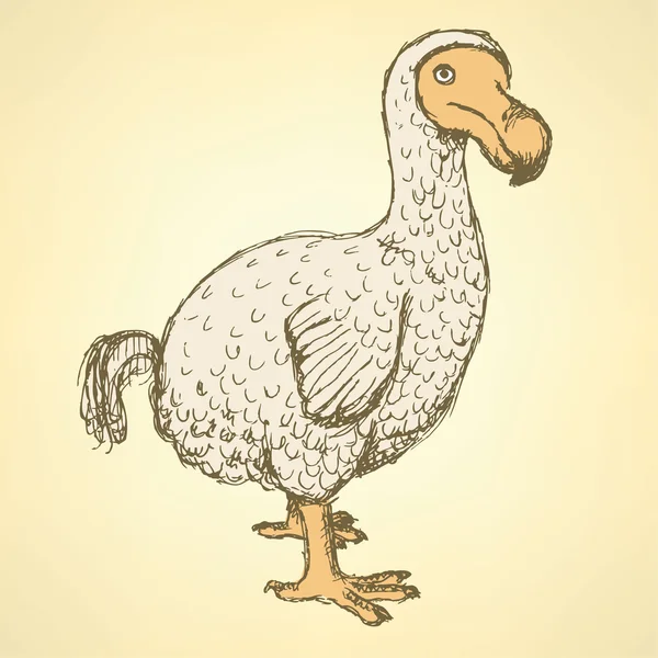 Schets dodo zangvogels vintage stijl — Stockfoto