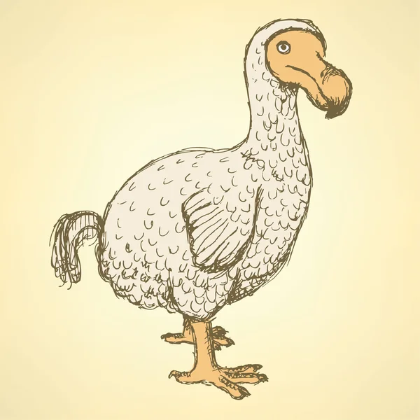 Croquis dodo oiseau dans un style vintage — Image vectorielle