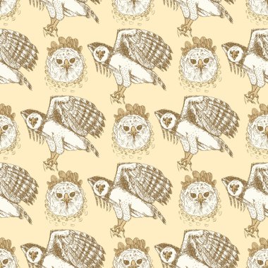 Vintage tarzı harpia kartal kafasından kroki