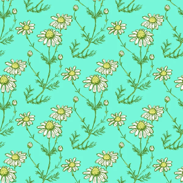 Daisy flower in schets stijl — Stockvector