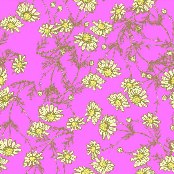 Daisy blomman i skiss stil — Stock vektor