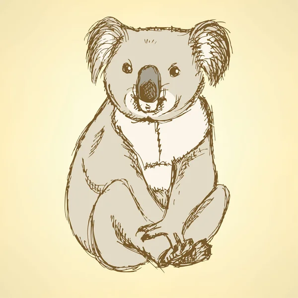 De schattige koala schets in vintage stijl — Stockvector