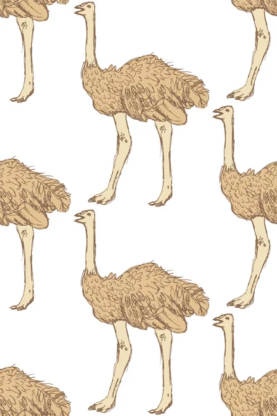 De schattige struisvogel schets in vintage stijl — Stockvector