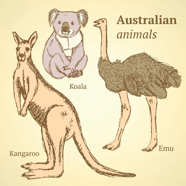 Sketch Australian animals in vintage style Royalty Free Stock Illustrations