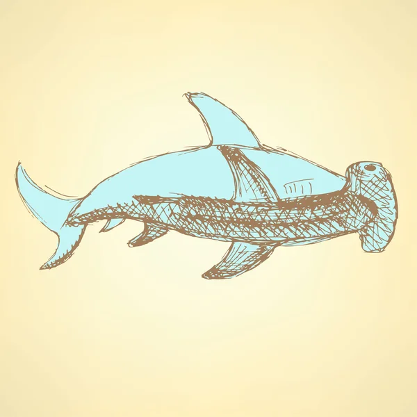 Sketch tiburón martillo en estilo vintage — Archivo Imágenes Vectoriales