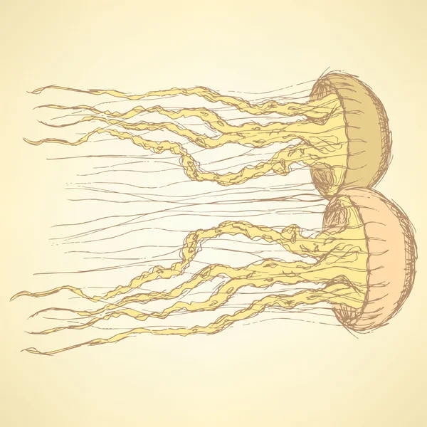 Sketch medusas lindas en estilo vintage — Archivo Imágenes Vectoriales