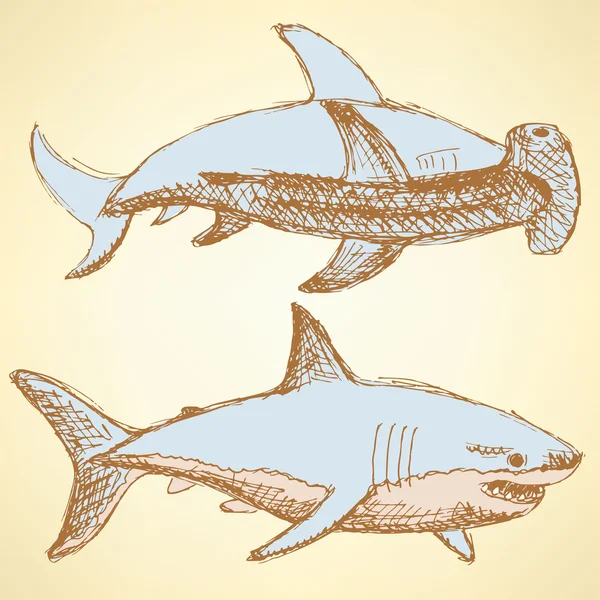 Bosquejo de tiburones de miedo en estilo vintage — Archivo Imágenes Vectoriales