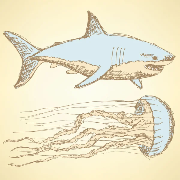 Sketch shark and jellyfish in vintage style — Stock Vector