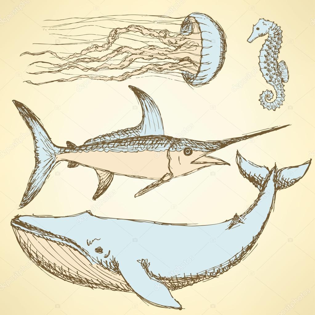 Sketch sea creatures in vintage style