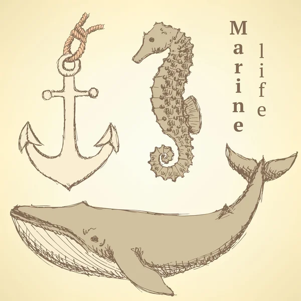 Sketch cavalo marinho, baleia e âncora em estilo vintage —  Vetores de Stock