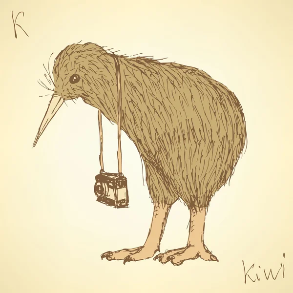 Bosquejo de fantasía kiwi pájaro en estilo vintage — Vector de stock