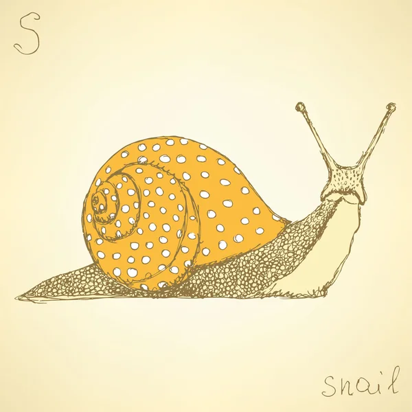 ビンテージ スタイルの豪華な snaill をスケッチします。 — ストックベクタ