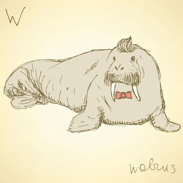 Schets fancy walrus in vintage stijl — Stockvector