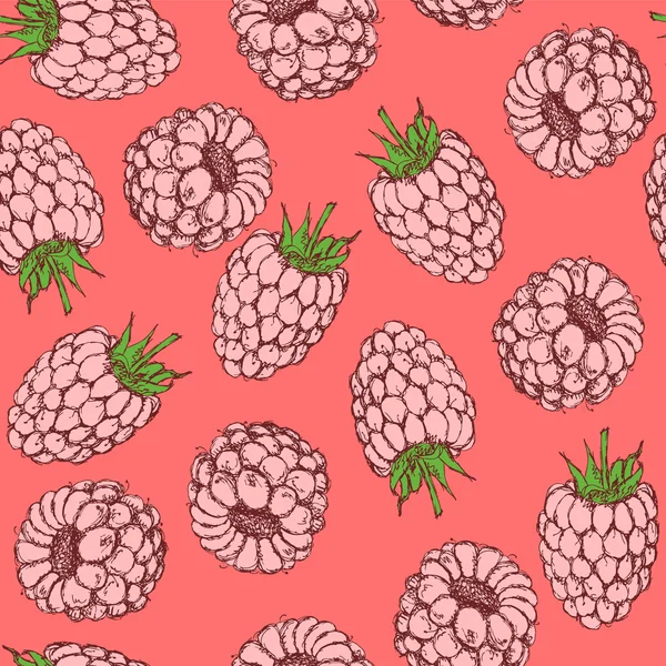 复古风格素描美味树莓 — 图库矢量图片