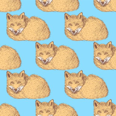 Vintage tarzı şirin fox kroki