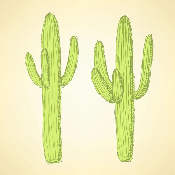 Skiss öken kaktus i vintage stil — Stock vektor