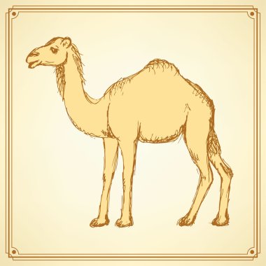 Vintage tarzı sevimli deve kroki