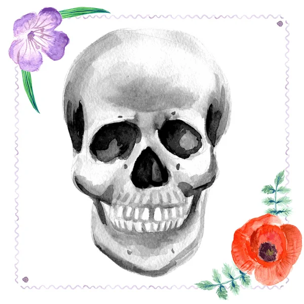 Watercolor human skull with flowers — Stock Vector