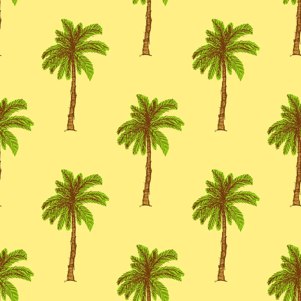 Schets palm in vintage stijl — Stockvector