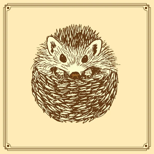 Bosquejo lindo erizo en estilo vintage — Vector de stock