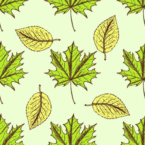 Feuilles de croquis dans un style vintage — Image vectorielle