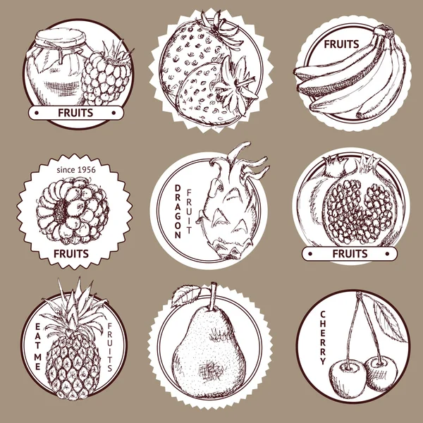 Logotipo dei frutti di schizzo — Vettoriale Stock