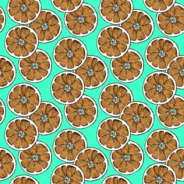 Schets droog citrus in vintage stijl — Stockvector