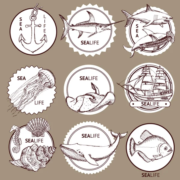Croquis logotype marin — Image vectorielle