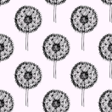 Kroki karahindiba desen 