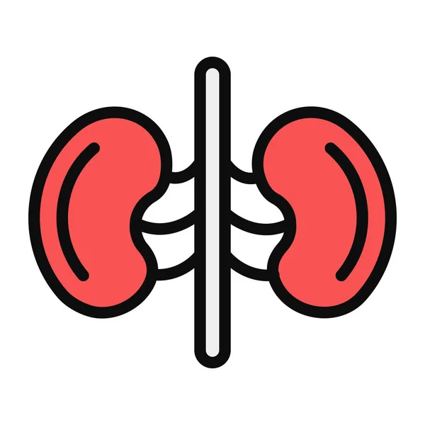 Icono Del Órgano Del Sistema Renal Humano Diseño Plano Icono — Vector de stock