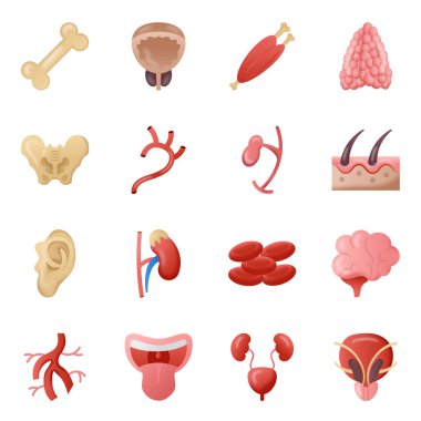 Biyolojinin ve bilimsel sembolün izole nesnesi. Bir dizi anatomi ve ilaç stok vektörü çizimi.