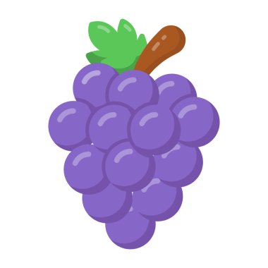 taze üzüm ikonu vektör çizimi tasarımı