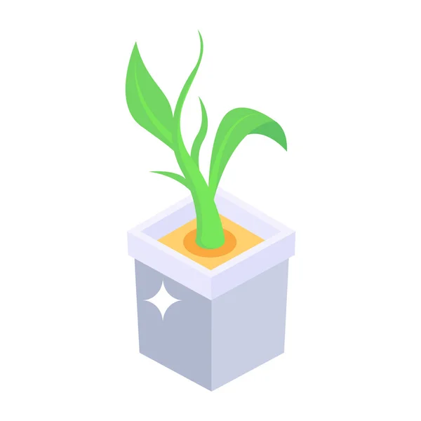 緑の植物の鉢形図 — ストックベクタ