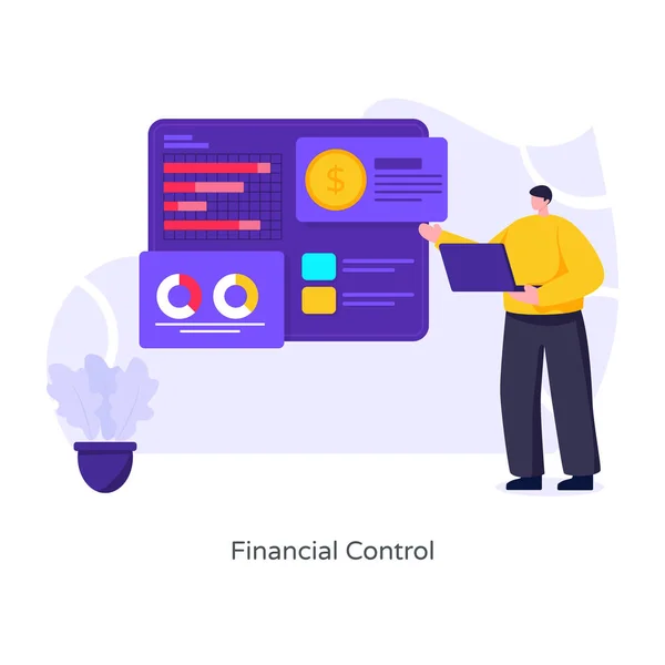 Financiële Controle Plat Ontwerp Illustratie — Stockvector