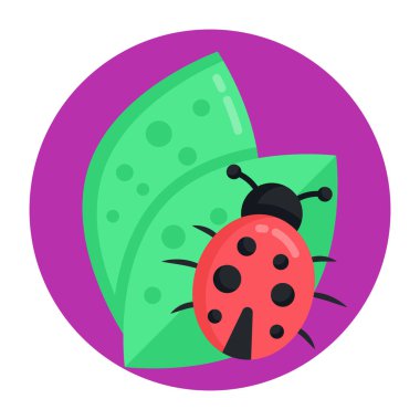 Uğur böceği vektör illüstrasyonuName