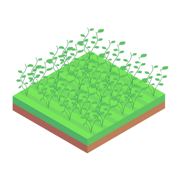 Plantas Verdes Crescendo Campo Ilustração Vetorial — Vetor de Stock