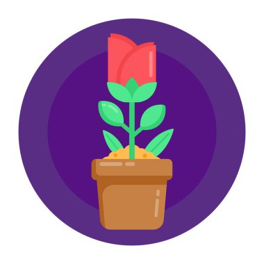 Saksı bitkisi ve bitki vektörü çizimi