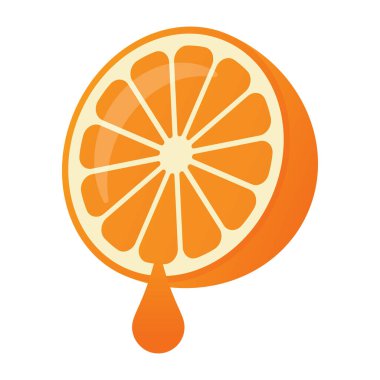 orange slice isolated on white background. vector illustration