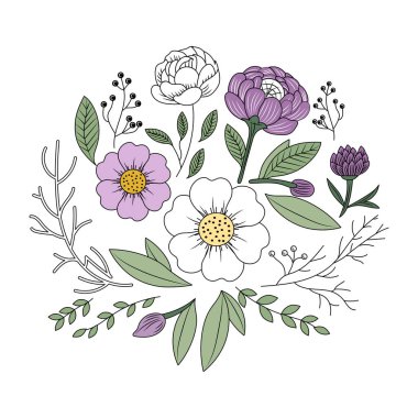 Kamelya tasvir eden klasik bir illüstrasyon