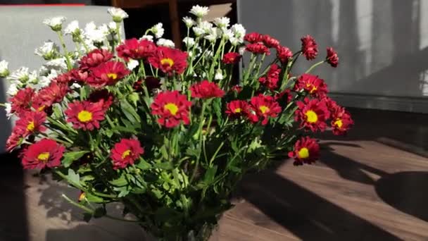 Κόκκινα Λουλούδια Ταξιδεύουν Βιντεοκάμερα Περιστροφή — Αρχείο Βίντεο
