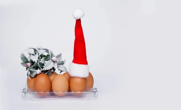 Chicken eggs in tray with sprig of Christmas tree and on one of the eggs red hat — Stock Photo, Image