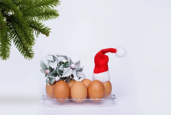 Chicken eggs stand on a tray on white background and a branch of Christmas tree — Stock Photo, Image