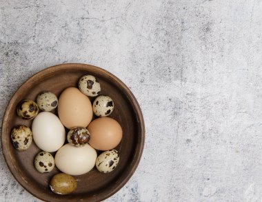  Taze tavuk, bıldırcın yumurtası ve boş alan içeren kırsal toprak kaplama. 
